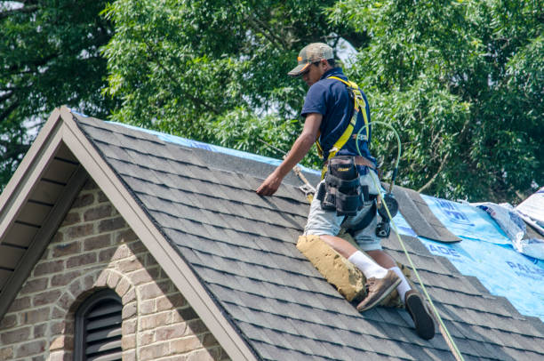 Professional Roofing Contractor in Rogue River, OR